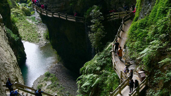 Chongqing Wulong Natural Three Bridges & Longshuixia Gorge Day Tour (Small Group)