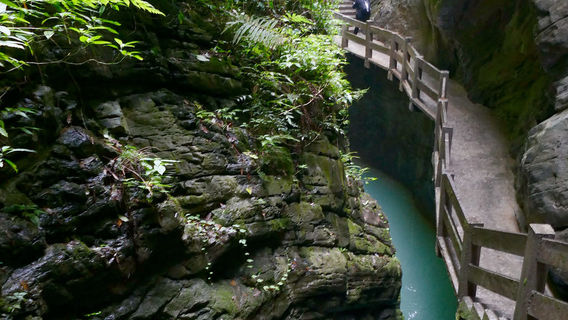 Chongqing Wulong Natural Three Bridges & Longshuixia Gorge Day Tour (Small Group)