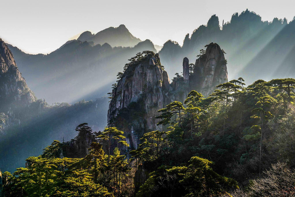 图片1: Huangshan Yellow Mountain private day tour - dramatic granite peaks and sea of clouds
