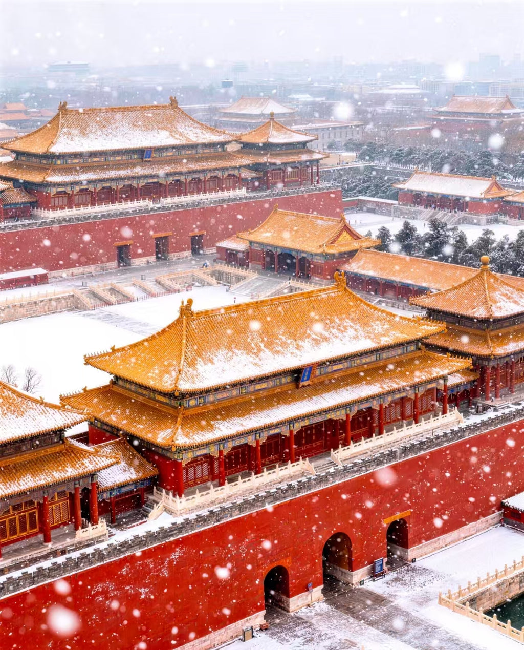 Beijing Classic Day Tour • Tiananmen, Forbidden City & Temple of Heaven