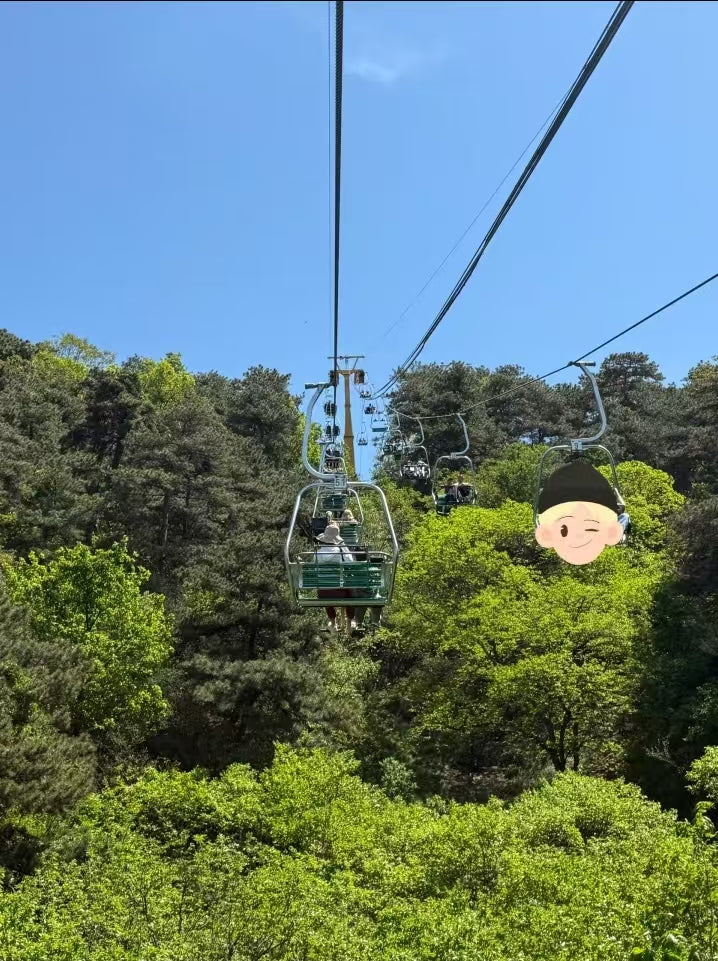 Beijing Suburban Private Tour: Mutianyu Great Wall & Summer Palace