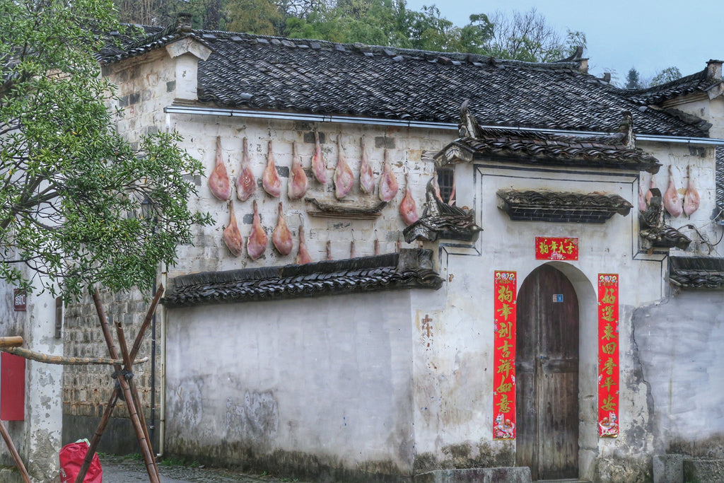 Hongcun Ancient Village Half-Day Tour - Private Tour