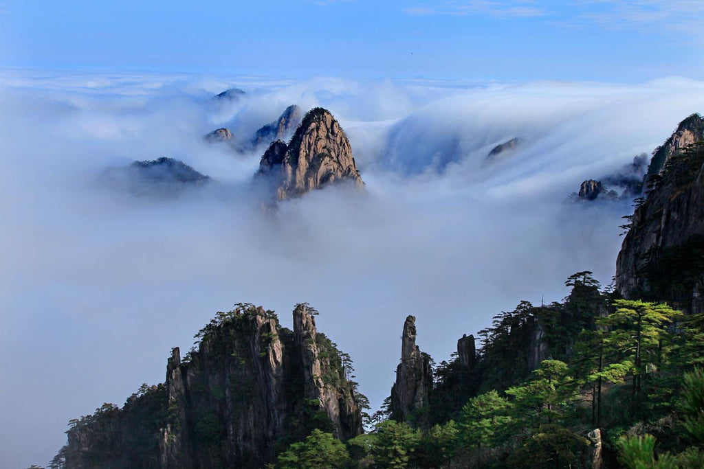 Huangshan Classic Day Tour - Private Tour