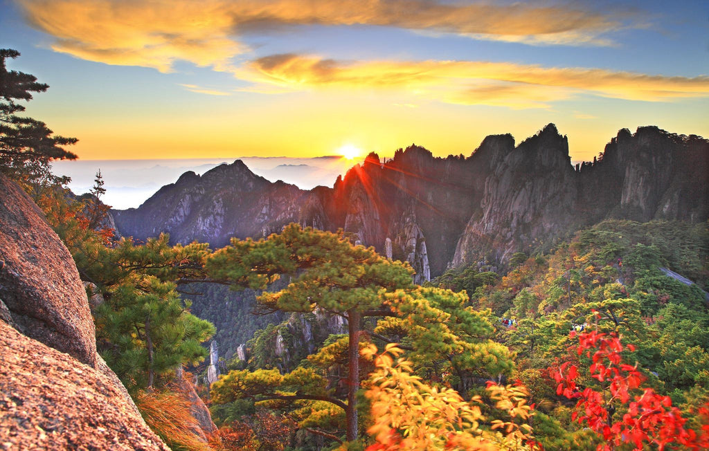 Huangshan scenic area - pine trees and misty mountain landscape Anhui China
