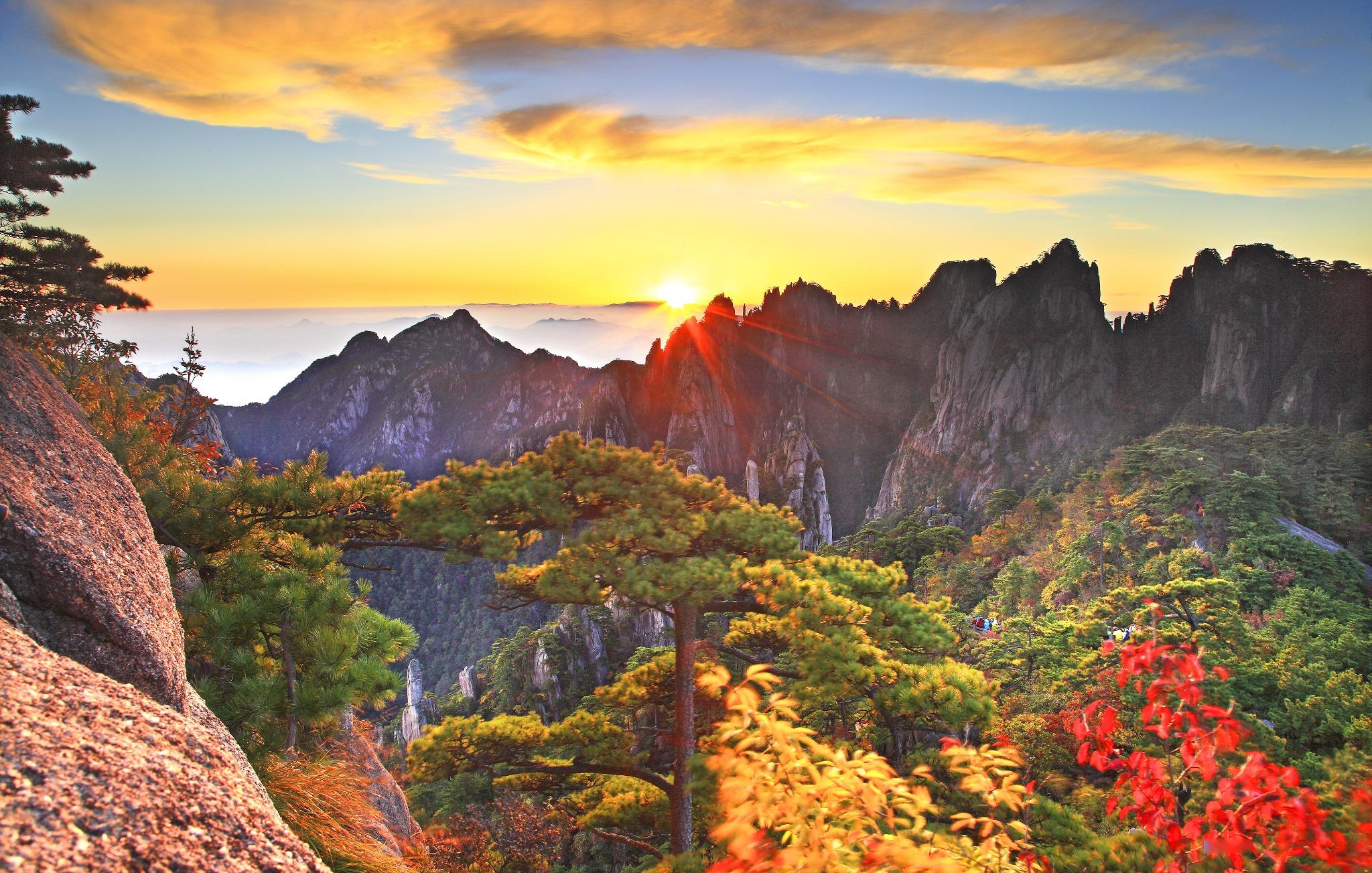 Huangshan scenic area - pine trees and misty mountain landscape Anhui China
